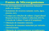 Fontes de Microrganismos Os microrganismos de Interesse Industrial pode ser obtidos: Isolamento de recursos naturais: (solo, água, plantas, etc); Compra.