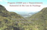 Coordenação: José Xaides de Sampaio Alves – UNESP/FAAC/Bauru Maurício César Delamaro – UNESP/FEG-Guaratinguetá