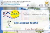 The Bioperl toolkit Daniel Guariz Pinheiro. O que é BioPerl ? Projeto de colaboração open-source internacional (1995- …) Biblioteca de módulos Perl Soluções.