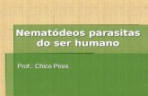 Nematódeos parasitas do ser humano Prof.: Chico Pires.