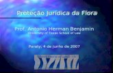 Proteção Jurídica da Flora Prof. Antonio Herman Benjamin University of Texas School of Law Paraty, 4 de junho de 2007.