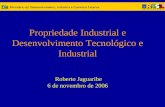 Propriedade Industrial e Desenvolvimento Tecnológico e Industrial Roberto Jaguaribe 6 de novembro de 2006.