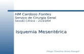 HM Cardoso Fontes Serviço de Cirurgia Geral Sessão Clínica – 21/10/04 Isquemia Mesentérica Diego Teixeira Alves Rangel.