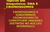 Tópicos em bioquímica: DNA E CROMOSSOMOS CROMOSSOMOS E SUBDOMÍNIOS CROMOSSOMICOS CONSTITUEM UNIDADES DISTINTAS NO NÚCLEO INTERFÁSICO.
