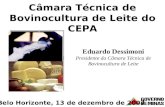 Câmara Técnica de Bovinocultura de Leite do CEPA Belo Horizonte, 13 de dezembro de 2007 Eduardo Dessimoni Presidente da Câmara Técnica de Bovinocultura.