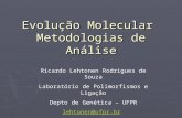 Evolução Molecular Metodologias de Análise Ricardo Lehtonen Rodrigues de Souza Laboratório de Polimorfismos e Ligação Depto de Genética – UFPR lehtonen@ufpr.br.