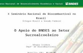 LIVRO VERDE DO ETANOL 1 Banco Nacional de Desenvolvimento Econômico e Social X Seminário Nacional de Biocombustível no Brasil Íntegra Brasil e Senado Federal.