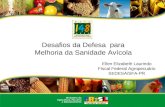 Desafios da Defesa para Melhoria da Sanidade Avícola Ellen Elizabeth Laurindo Fiscal Federal Agropecuário SEDESA/SFA-PR.