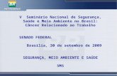 1 1 V Seminário Nacional de Segurança, Saúde e Meio Ambiente no Brasil: Câncer Relacionado ao Trabalho SENADO FEDERAL Brasília, 30 de setembro de 2009.