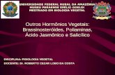 Outros Hormônios Vegetais: Brassinosteróides, Poliaminas, Ácido Jasmônico e Salicílico UNIVERSIDADE FEDERAL RURAL DA AMAZÔNIA MUSEU PARAENSE EMÍLIO GOELDI.