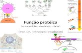 Função protéica (ou nanobiotecnologia sem criador) Prof. Dr. Francisco Prosdócimi.