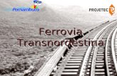 Ferrovia Transnordestina. Trata-se de uma ferrovia importante não apenas para Pernambuco, mas, igualmente, para os nove Estados do Nordeste, interligando.