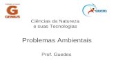 Ciências da Natureza e suas Tecnologias Prof. Guedes Problemas Ambientais.