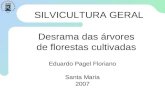 Desrama das árvores de florestas cultivadas Eduardo Pagel Floriano Santa Maria 2007 SILVICULTURA GERAL.