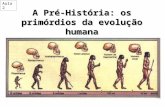 A Pré-História: os primórdios da evolução humana Cueva de las manos, Santa Cruz, Argentina Aula 2.