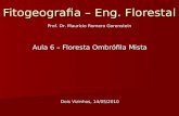 Fitogeografia – Eng. Florestal Aula 6 – Floresta Ombrófila Mista Dois Vizinhos, 14/05/2010 Prof. Dr. Mauricio Romero Gorenstein.