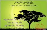 Agroecossistemas: Conceitos de agroecossistemas Prof. Dr. Corlett, F.M.F Fundamentos de Agroecologia MINISTÉRIO DA EDUCAÇÃO IF – SUL – RIO - GRANDENSE.
