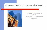 TRIBUNAL DE JUSTIÇA DE SÃO PAULO A INFORMÁTICA NO TRIBUNAL DE JUSTIÇA IMPLANTAÇÃO DE PADRONIZAÇÃO TABELAS CNJ.