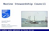 Marine Stewardship Council Laurent Viguié MSC Brasil Martin C. Dias Consultor em sustentabilidade e certificação pesqueira A melhor opção ambiental em.