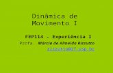 Dinâmica de Movimento I FEP114 - Experiência I Profa. Márcia de Almeida Rizzutto rizzutto@if.usp.br.