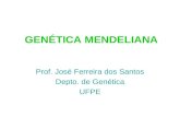 GENÉTICA MENDELIANA Prof. José Ferreira dos Santos Depto. de Genética UFPE.