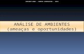 UNISANT'ANNA – CAMPUS LEOPOLDINA - 2013 ANÁLISE DE AMBIENTES (ameaças e oportunidades)