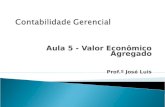Aula 5 - Valor Econômico Agregado Prof.º José Luis.