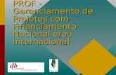PROF - Gerenciamento de Projetos com Financiamento Nacional e/ou Internacional.