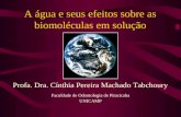 A água e seus efeitos sobre as biomoléculas em solução Faculdade de Odontologia de Piracicaba UNICAMP Profa. Dra. Cínthia Pereira Machado Tabchoury.