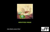HEPATITES VIRAIS Prof. Cláudia Lamarca Vitral. Hepatites virais