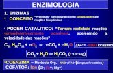ENZIMOLOGIA 1.ENZIMAS CONCEITO PODER CATALITICO: Tornam realidade reações termodinamicamente possíveis, acelerando a velocidade das reações C 12 H 22 O.