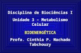 Disciplina de Biociências I Unidade 3 – Metabolismo Celular BIOENERGÉTICA Profa. Cínthia P. Machado Tabchoury.