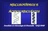 NUCLEOTÍDEOS E ÁCIDOS NUCLÉICOS Faculdade de Odontologia de Piracicaba UNICAMP.