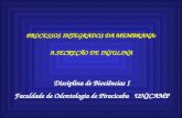 PROCESSOS INTEGRADOS DA MEMBRANA: A SECREÇÃO DE INSULINA Disciplina de Biociências I Faculdade de Odontologia de Piracicaba UNICAMP.