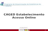 1 /29 CAGED Estabelecimento Acesso Online 31/05/2010 Programa de Disseminação de Estatísticas do Trabalho.