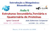 1 Ignez Caracelli BioMat – DF – UNESP/Bauru Bauru, 15 de setembro de 2008. Aula 6 Estruturas Secundária,Terciária e Quaternária de Proteínas Introdução.
