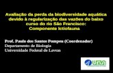Avaliação da perda da biodiversidade aquática devido à regularização das vazões do baixo curso do rio São Francisco: Componente Ictiofauna Prof. Paulo.