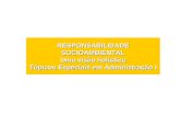 RESPONSABILIDADE SOCIOAMBIENTAL Uma visão holística Tópicos Especiais em Administração I.
