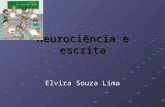 Neurociência e escrita Elvira Souza Lima. Este texto discorre sobre o ato de escrever, utilizando como referência o conhecimento disponibilizado pela.