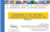 Porto Alegre, 28 de junho de 2011 Jeferson Soares Consultor técnico Superintendência de Estudos Econômicos e Energéticos -SEE Diretoria de Estudos Econômico-energéticos.