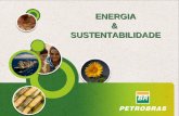 1 ENERGIA&SUSTENTABILIDADE. 2 3 Respeito ao meio ambiente Equilíbrio econômico Contribuição para o progresso social.