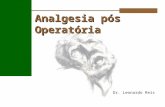 Analgesia pós Operatória Dr. Leonardo Reis. Dor pós Operatória Reação fisiológica ao trauma, distensão visceral ou doença Manifestações autonômicas e.