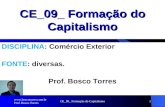 CE_09_ Formação do Capitalismo1 DISCIPLINA: Comércio Exterior FONTE: diversas. Prof. Bosco Torres  Prof. Bosco Torres.