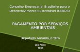 Conselho Empresarial Brasileiro para o Desenvolvimento Sustentável (CEBDS) PAGAMENTO POR SERVIÇOS AMBIENTAIS Deputado Arnaldo Jardim São Paulo 2013 2013.
