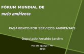 FÓRUM MUNDIAL DE meio ambiente PAGAMENTO POR SERVIÇOS AMBIENTAIS Deputado Arnaldo Jardim Foz do Iguaçu - PR 2013 2013.