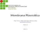Membrana Plasmática Prof. M.Sc. Fábio Henrique Oliveira Silva fabio.silva@svc.ifmt.edu.br Parte 2 2011.1 fabio.silva@svc.ifmt.edu.br.