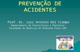 PREVENÇÃO DE ACIDENTES Prof. Dr. Luiz Antonio Del Ciampo Departamento de Puericultura e Pediatria Faculdade de Medicina de Ribeirão Preto USP.