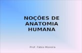 NOÇÕES DE ANATOMIA HUMANA Prof. Fábio Moreira. Anatomia Ciência que estuda a estrutura macroscópica e microscópica do corpo dos seres vivos.
