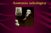 Anatomia radiológica. A primazia de realizar a primeira radiografia no Brasil é disputada por vários pesquisadores. Como a história não relata dia e mês.