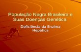 População Negra Brasileira e Suas Doenças Genética Deficiência da Enzima Hepática.